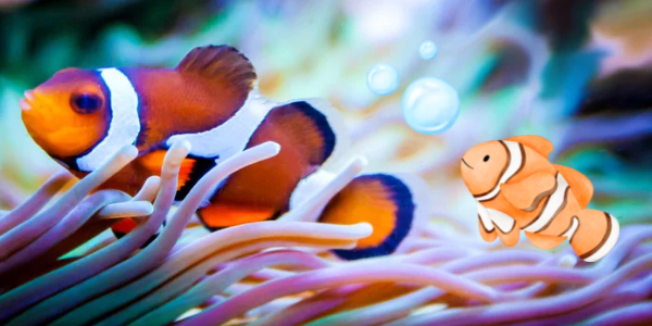 「ペンギンのすみかり」が4月25日にオープン！遊びにきてね！